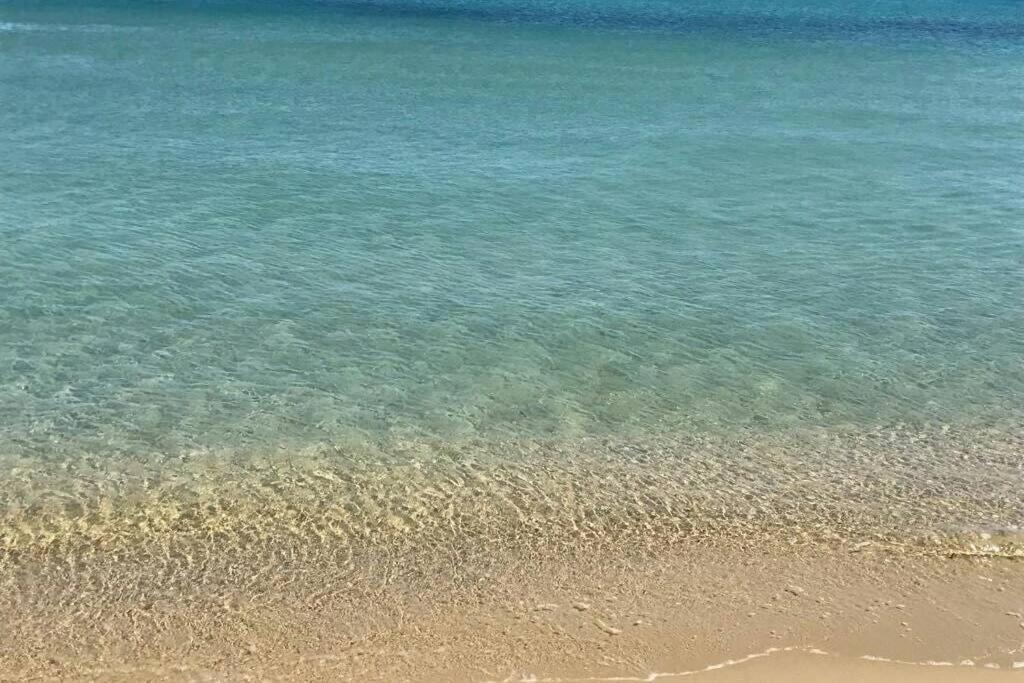2 Bedrooms, 15 Min Walk To Beach, Ac, Pool & Fiber Internet In A Quiet, Private Gated Domain 5Kms To St Tropez Cogolin Exterior foto